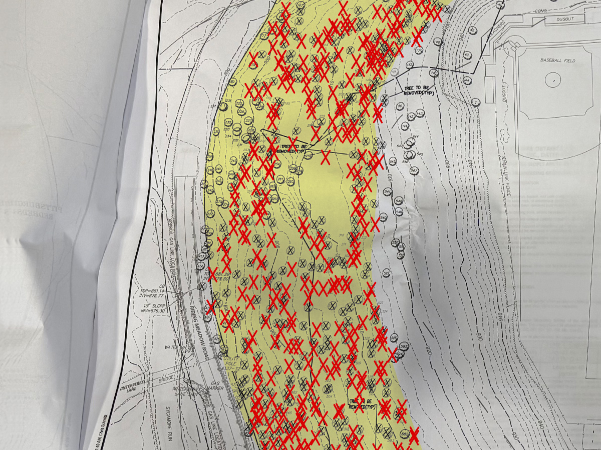 Riding Meadow Road Development Plans