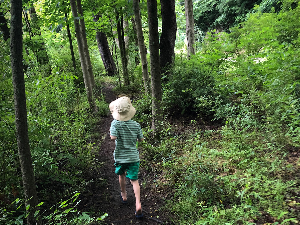 Riding Meadow Road Trail Loss